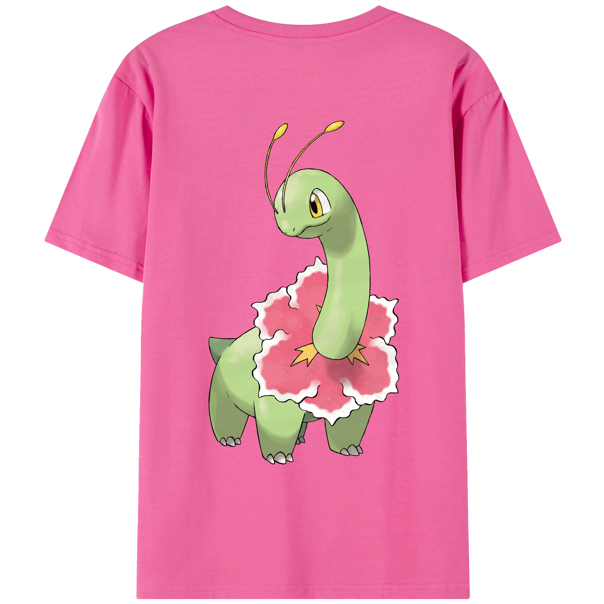 （画像用） ポケットモンスター Pokémon レディース半袖Tシャツ(バックプリント)